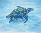 Sea Glass Journey