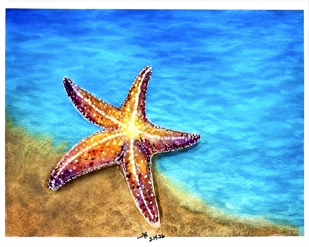 Star of the Shore (print only)