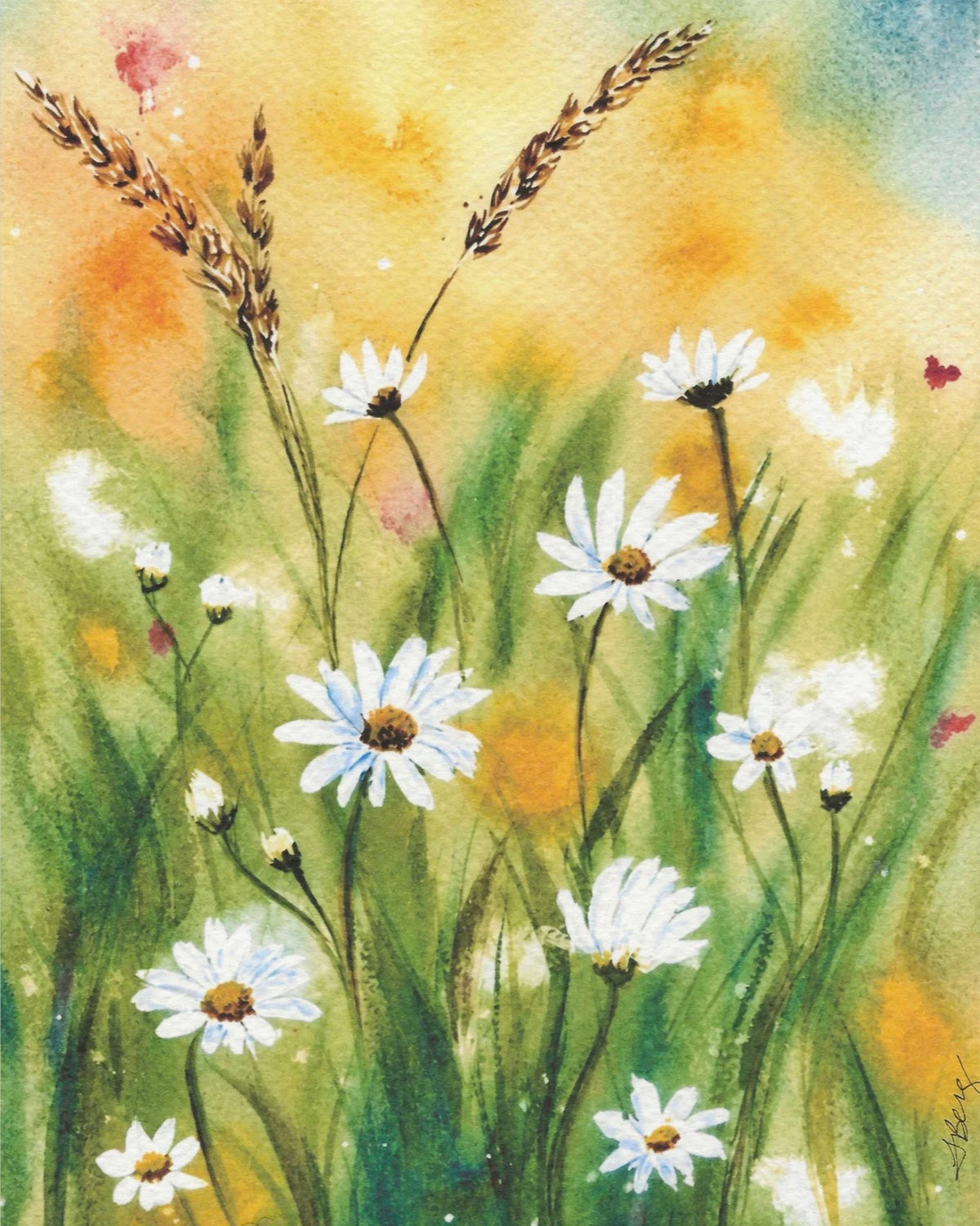 Where Wildflowers Bloom