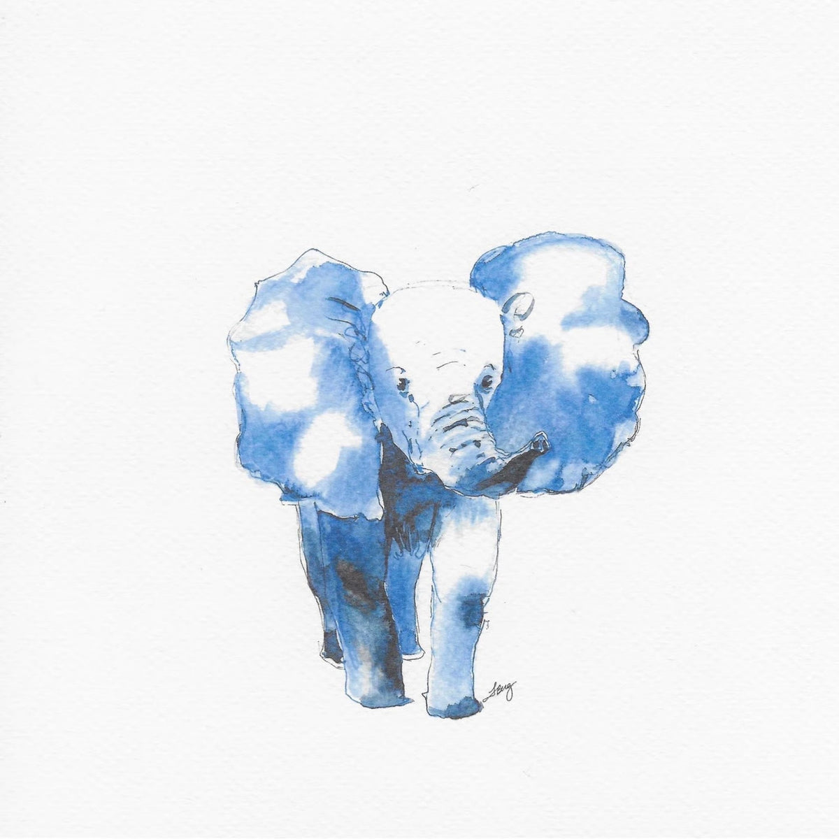 Baby Elephant
