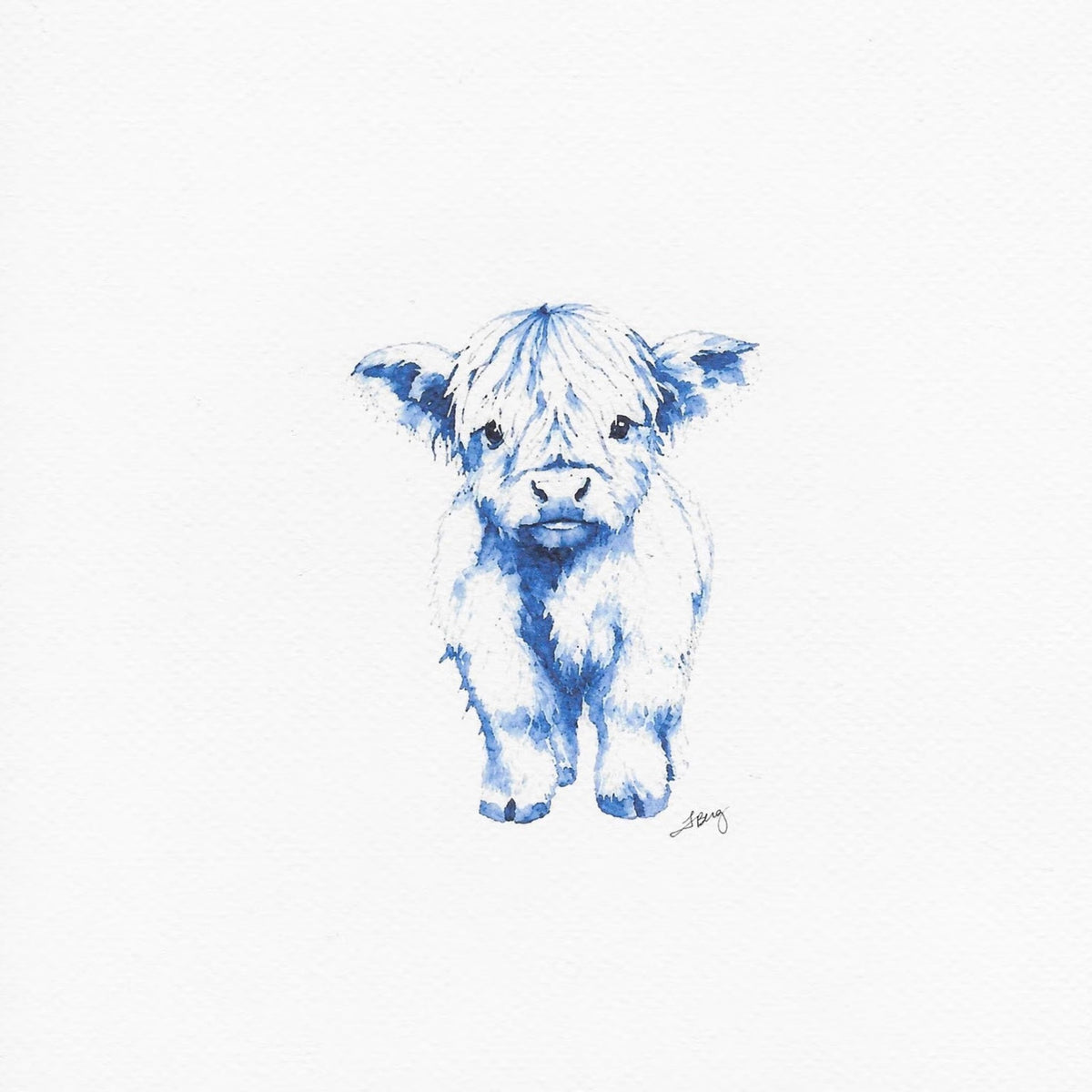 Baby Highland Cow