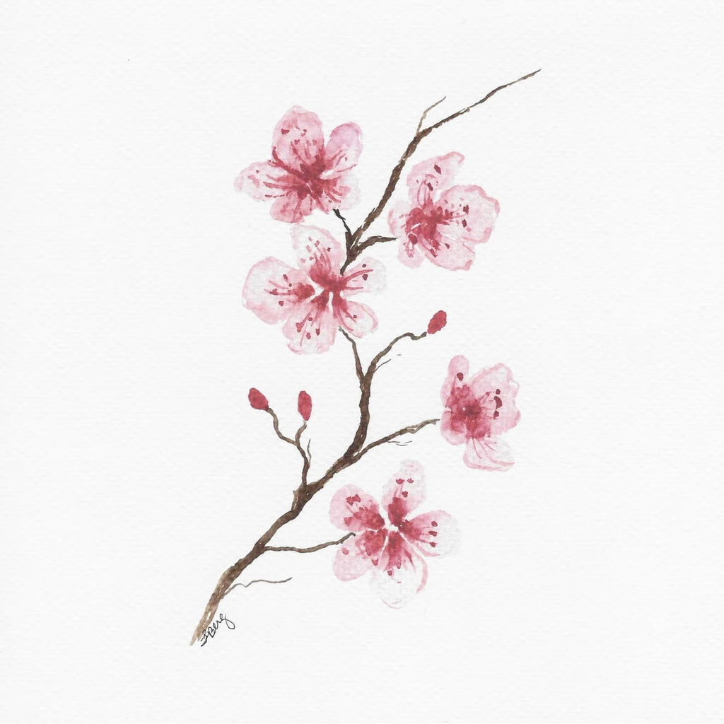 Blossom Branch