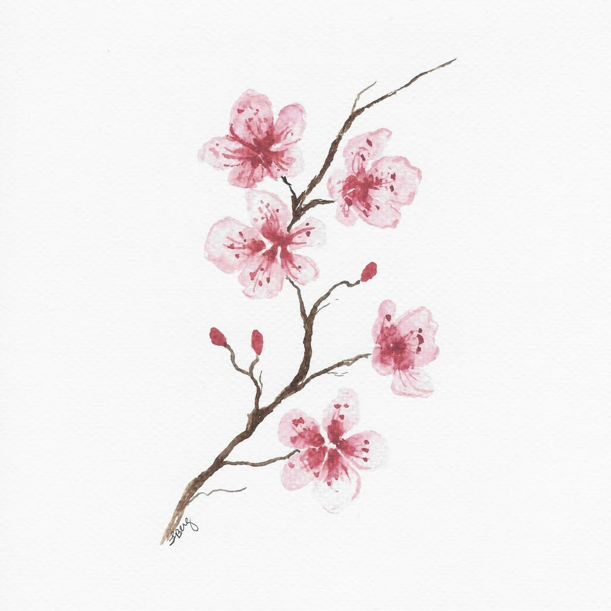 Blossom Branch