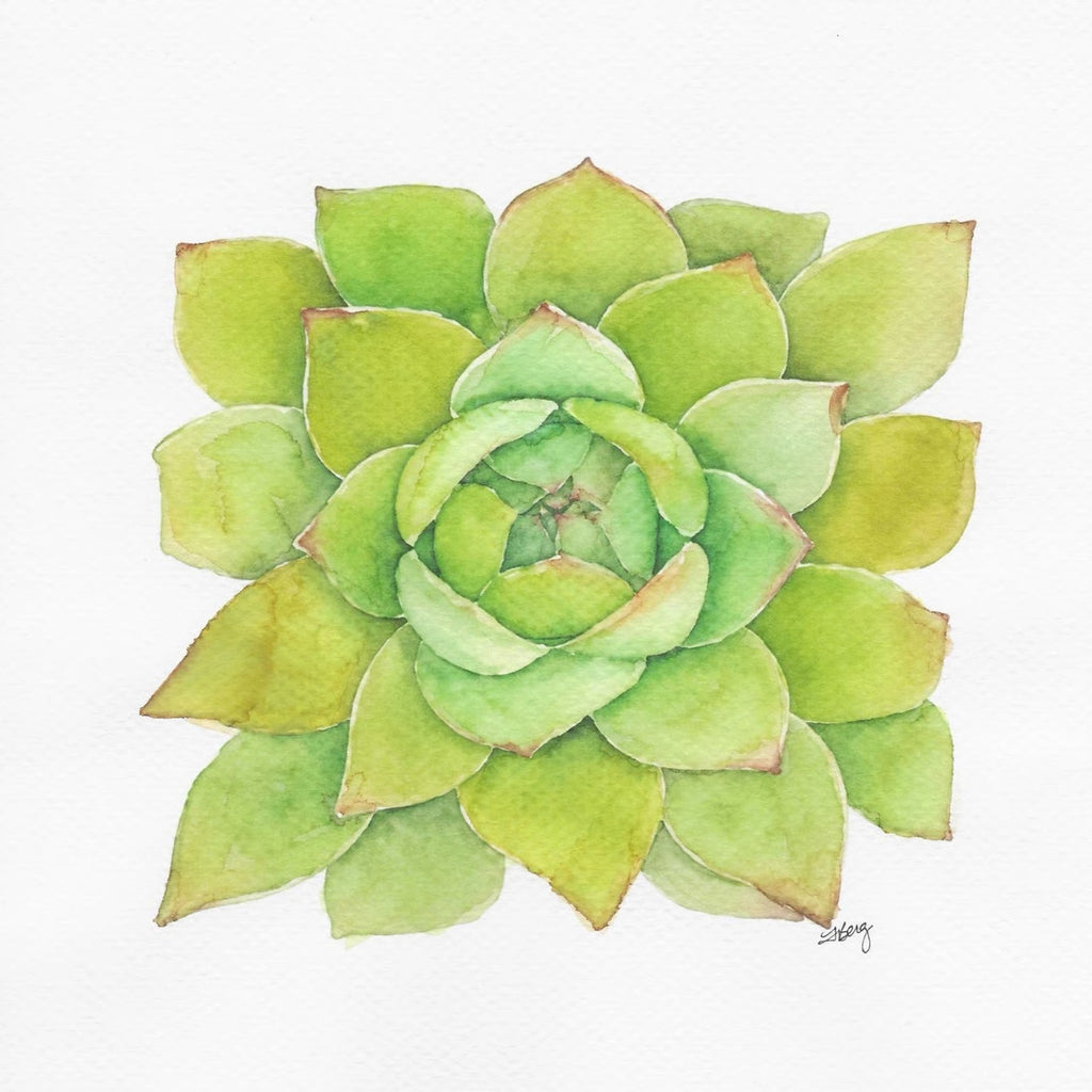 Green Rosette