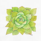 Green Rosette