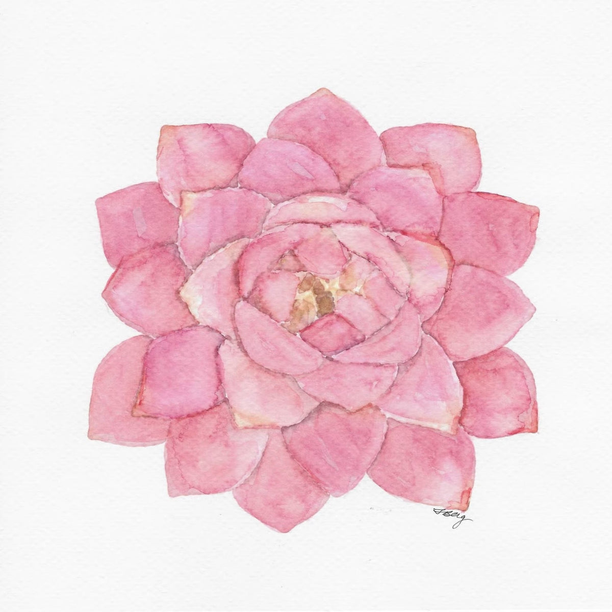 Pink Rosette