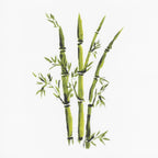 Quiet Bamboo