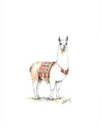Llama