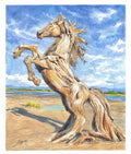 Driftwood Spirit