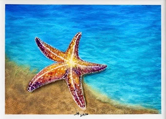 Star of the Shore (print only)