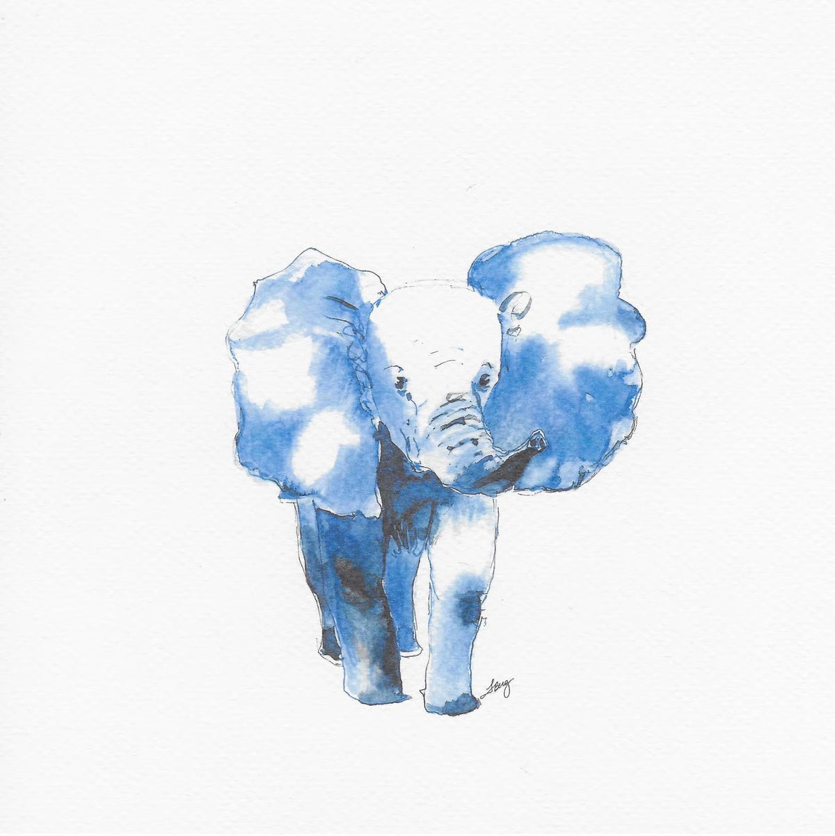 Baby Elephant