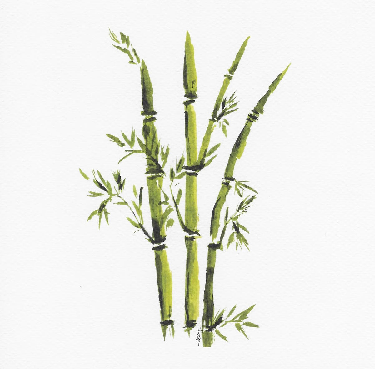 Quiet Bamboo