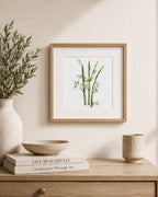 Quiet Bamboo