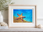 Star of the Shore (print only)