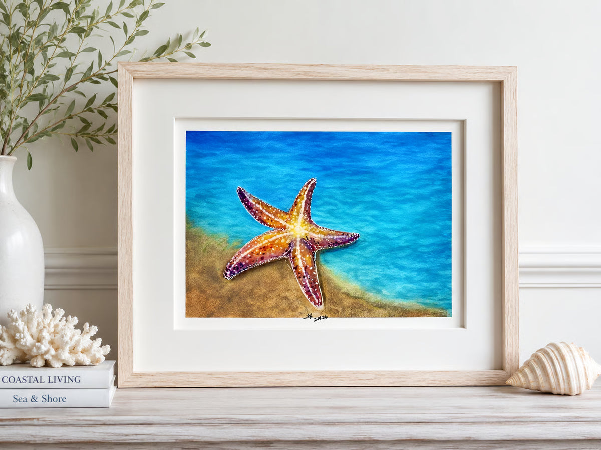 Star of the Shore