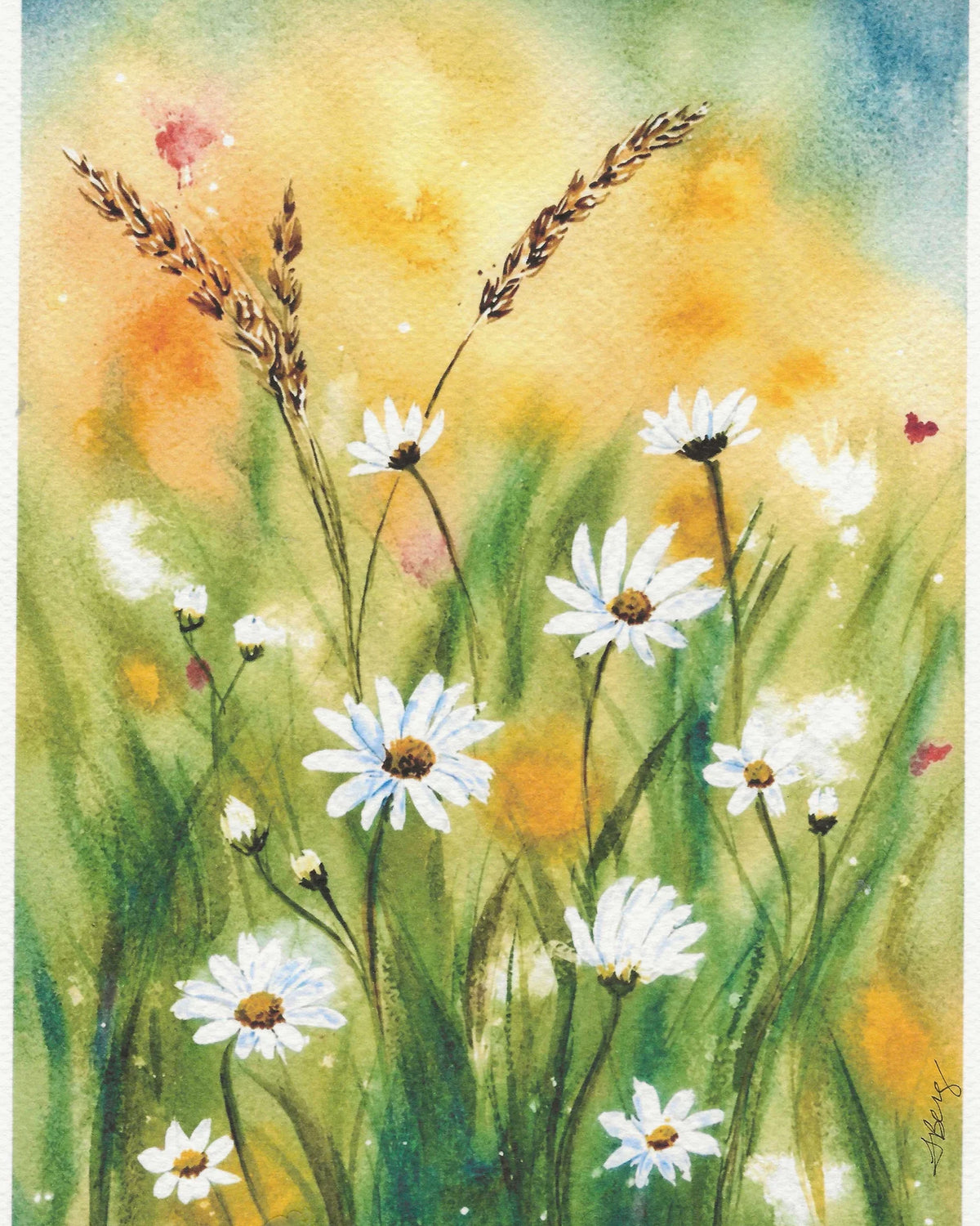 Where Wildflowers Bloom